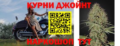 Альфа ПВП Пугачёв